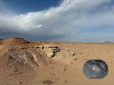 En video: logran ver, por fin, a una de las especies más amenazadas de osos