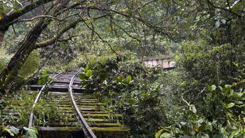 Caminata para todos los gustos: la vía férrea en Sasaima