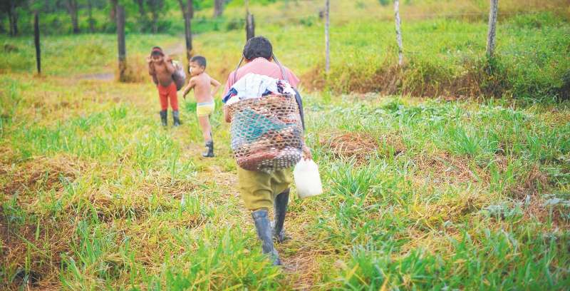 La Agencia Nacional de Tierras habría incurrido en una demora injustificada. / Cristian Garavito - El Espectador