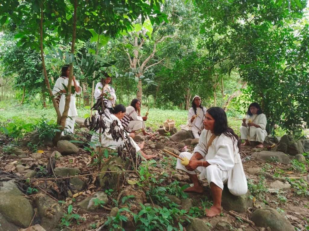El proyecto busca comprar tierras que hacen parte de la Línea Negra para que el Pueblo Kogui pueda expandir el territorio al cual tienen acceso y concentrarse en la restauración de este.