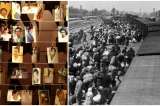 Genocidio de Ruanda o Nazi: ¿cuál fue más intenso?