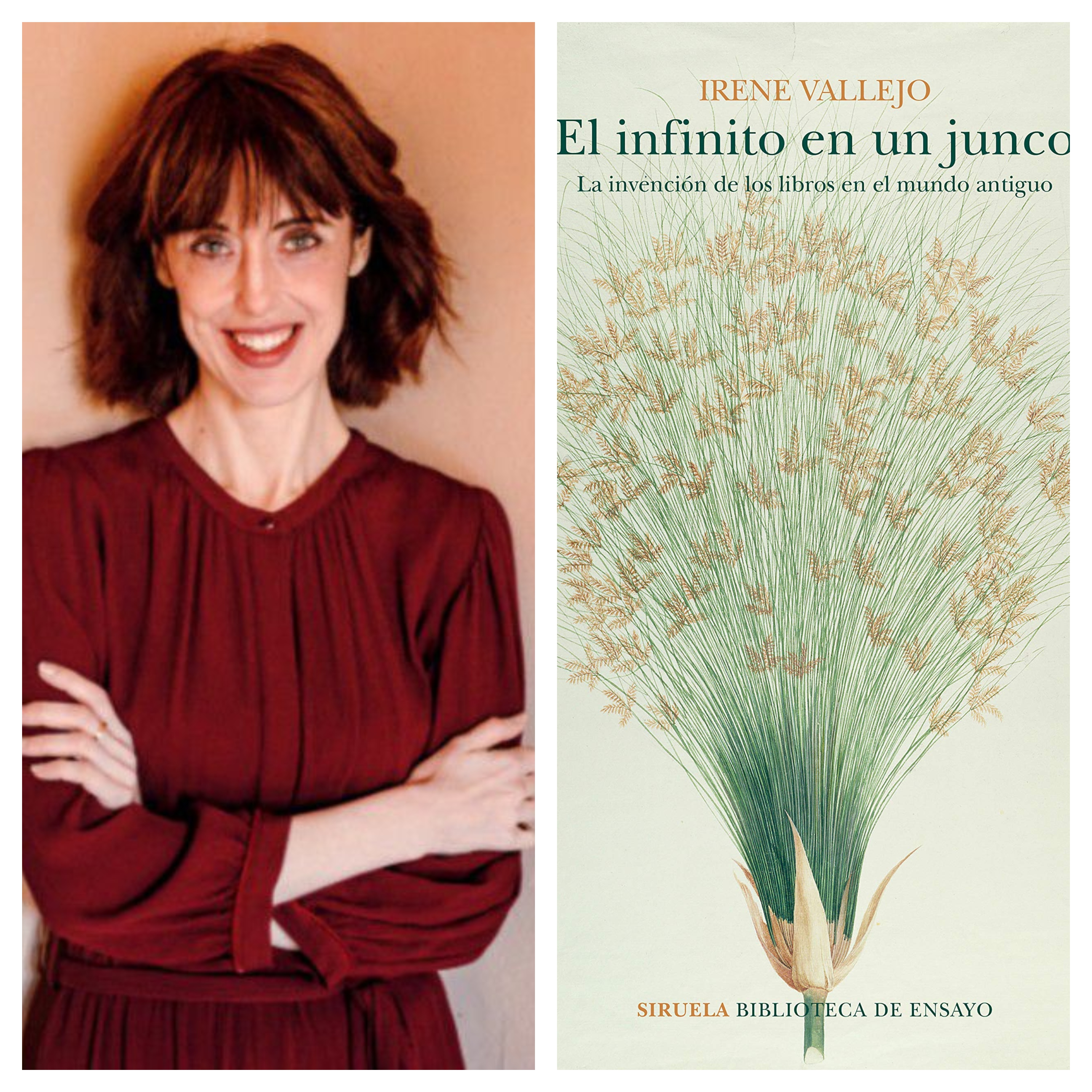 En "El infinito en un junco" Irene Vallejo explora la historia de la escritura vinculada a ciertos sucesos de la historia de la humanidad.
