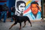 Posesión de Chávez será una "triste payasada latinoamericana"