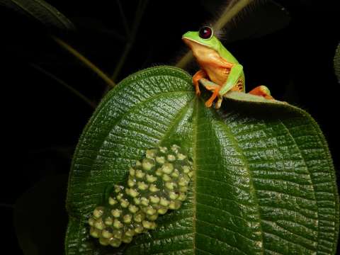 La apuesta de The Nature Conservancy en la COP 16