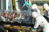 Alemania destina 200 millones de euros a luchar contra el ébola en África