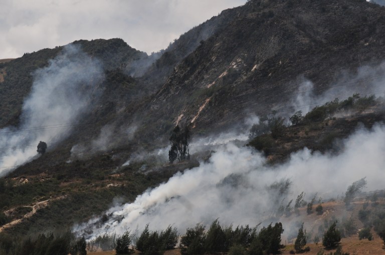 Más de 700 municipios en el país están en alerta por incendios forestales