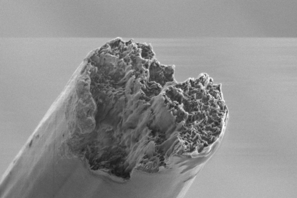 Imagen del biomaterial creado por los investigadores del Royal Institute of Technology en Estocolmo. / N+1, ciencia que suma.