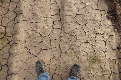 Fenómeno de El Niño podría estar acelerando el cambio climático