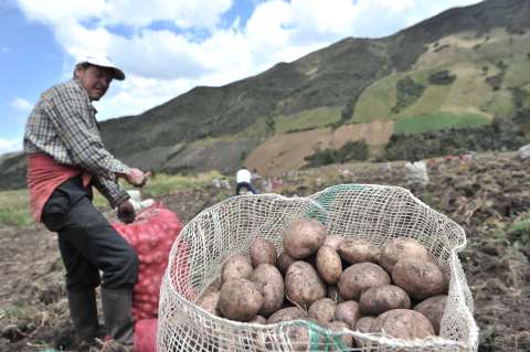 Bajan algunas frutas y tubérculos, pero hortalizas y carnes siguen subiendo