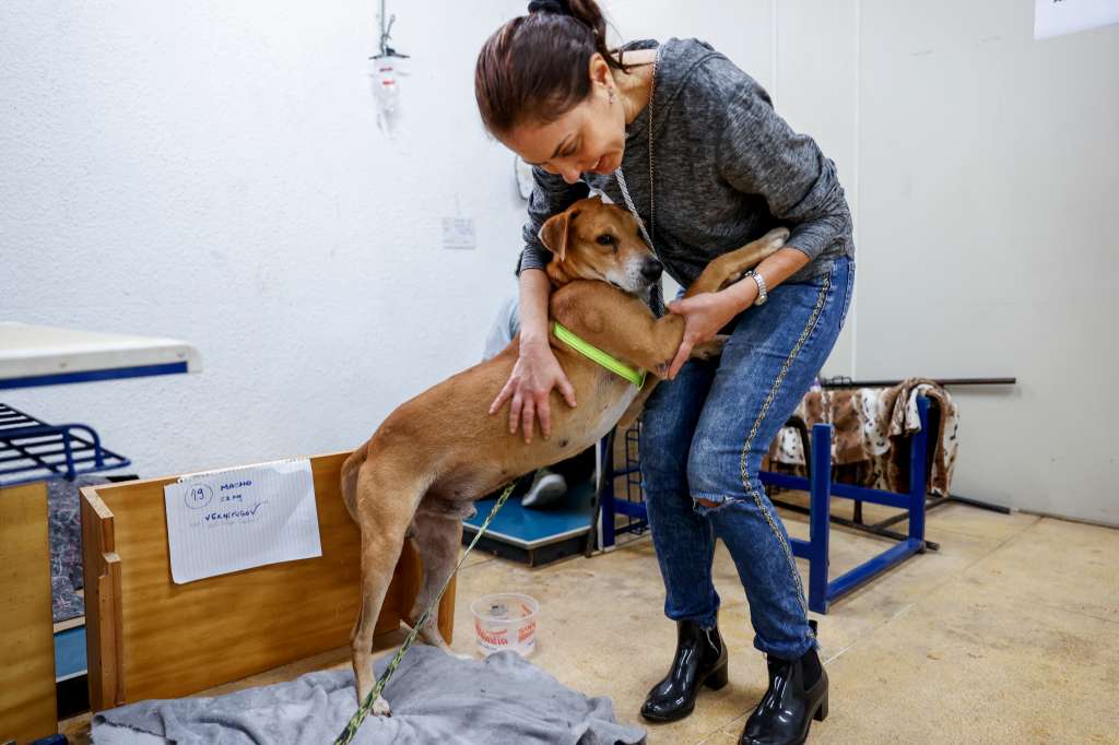 ACOMPAÑA CRÓNICA BRASIL INUNDACIONES AME5486. PORTO ALEGRE (BRASIL), 12/05/2024.- Una mujer abraza a un perro rescatado de las inundaciones, el 11 de mayo de 2024, en un refugio en Porto Alegre (Brasil). Cientos de mascotas han sido rescatadas del agua desde que empezaron las inundaciones en el sur de Brasil. Mojadas y nerviosas, muchas han sido acogidas en refugios creados sobre la marcha mientras esperan un nuevo hogar. EFE/Sebastião Moreira
