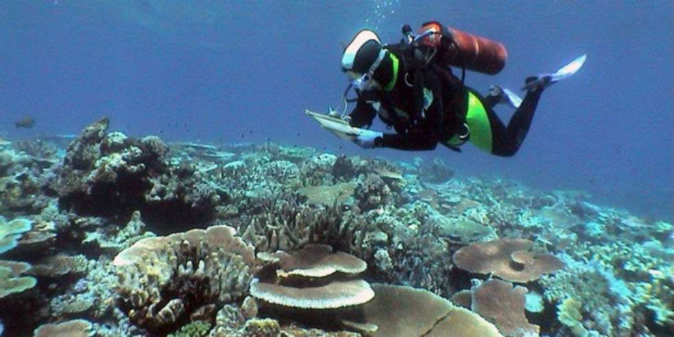 Reservas protegidas a salvo de los pescadores en la Gran Barrera de Coral de Australia / ARC
