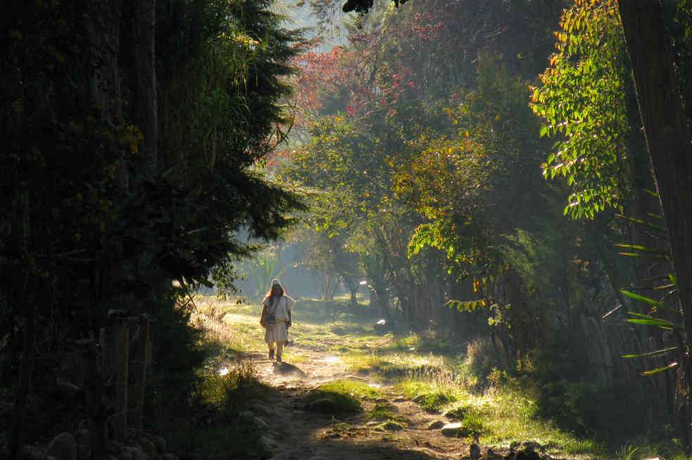 Indígenas de la Sierra afirman que el equilibrio ambiental depende de la protección de sus sitios sagrados. / Alejandro Arias
