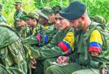 Capturados 11 disidentes de las Farc en Arauca