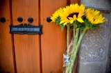 Flores para Gabo