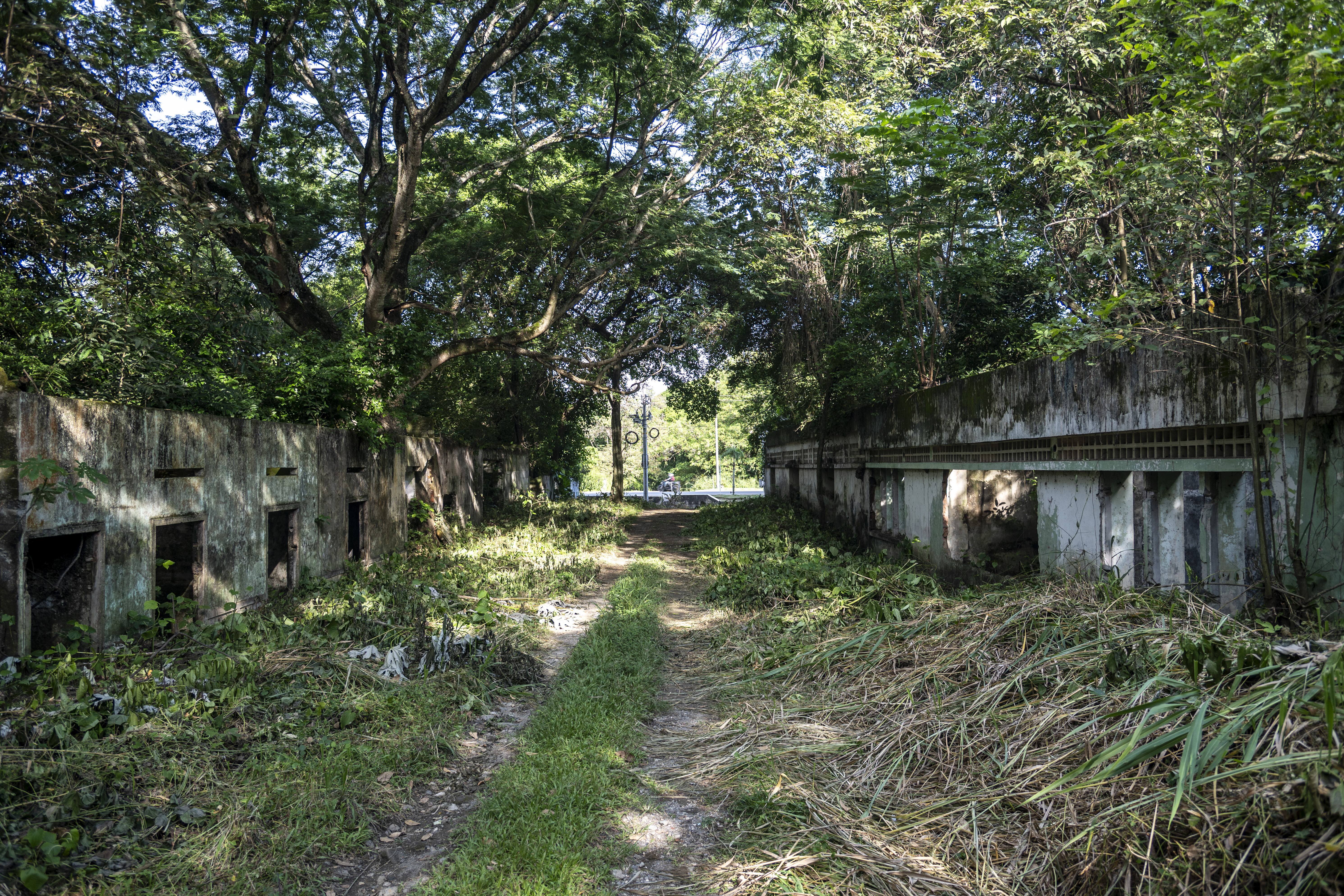 Las ruinas de la antigua ciudad de Armero entrarán en la lista de Bienes de Interés Cultural.