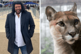 Así fue como René Higuita salvó a pumas de ser sacrificados en Antioquia
