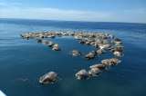 Redes de pesca de atún matan unas 300 tortugas en México