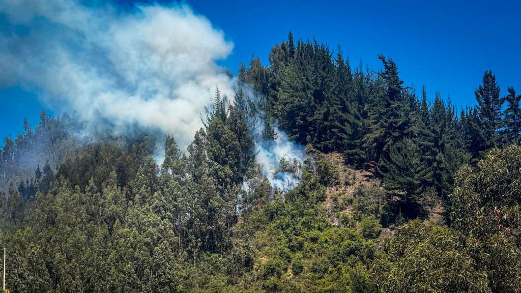 Pasadas las 10:00 a.m. del miércoles 22 de enero, se reportó un incendio forestal de gran magnitud en el sector del Boquerón, en zona limítrofe de los municipios de Chía y Tabio, en Cundinamarca.