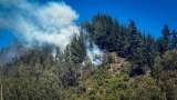 Dieciséis incendios en un día golpearon Cundinamarca: tres continúan activos
