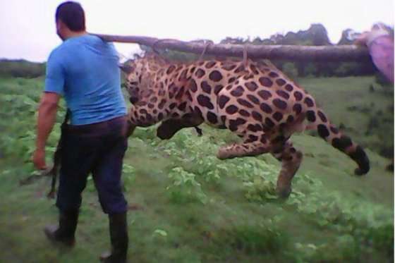 En mayo de este año se denunció un caso parecido en el municipio de Puerto Berrío, en el Magdalena Medio Antioqueño, al que corresponde la foto. /Foto: Tomada de Facebook 
