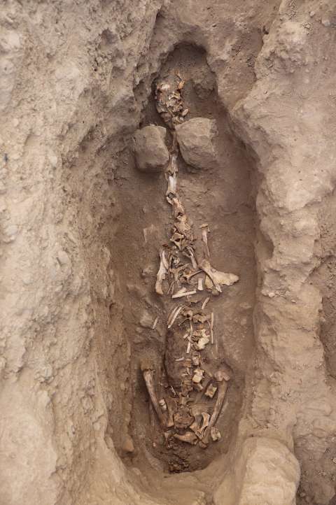 Descubren restos humanos con más de mil años de antigüedad en Perú