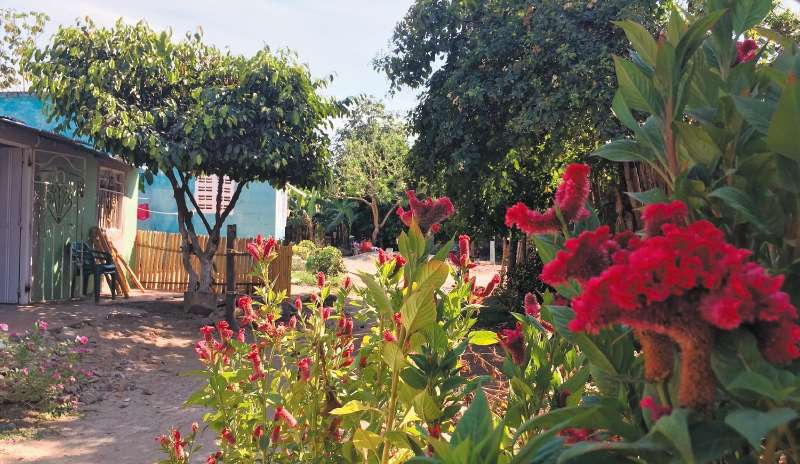 La vereda Macondo, en el municipio de Zona Bananera, Magdalena. 
/ Fotos de Alberto Medina López
