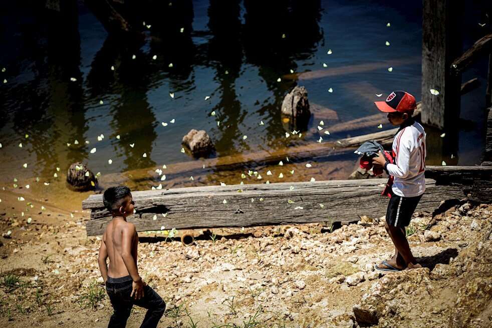 Aproximadamente 2.1 millones de niños, niñas y adolescentes de América Latina y el Caribe se ven perjudicados cada año por el cambio climático.  / EFE