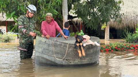 Más de 300 animales han sido rescatados tras inundaciones en Córdoba