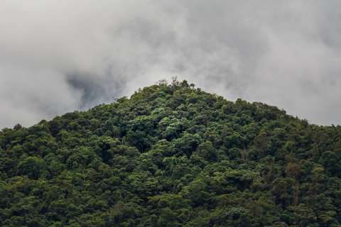 Las cuidadoras de la naturaleza y sus retos en el territorio