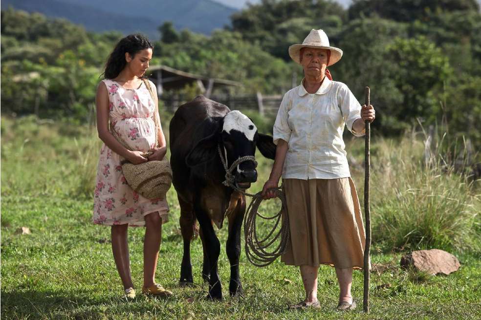 "Dos mujeres y una vaca", película dirigida por Efraín Bahamón y producida por Doble Sentido SAS, cuenta la historia de Rosana y Hermelinda, dos mujeres analfabetas que emprenden un viaje en busca de Pastor, de quien no tienen noticias hace meses. Con el fin de descifrar una nota que recibieron con su nombre, las dos mujeres deciden viajar al caserío más cercano. Allí se encuentran de cara con la violencia.