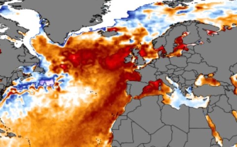Ya se sabe qué causó la ola de calor marina récord de 2023 en el Atlántico Norte
