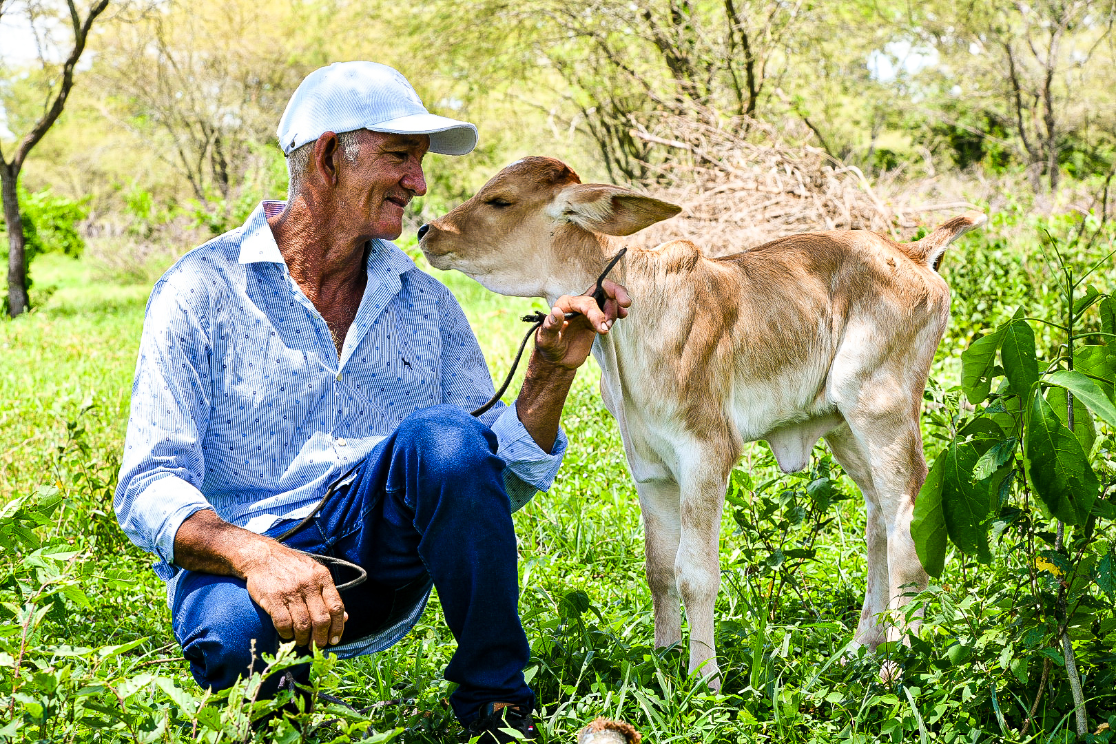 Proyecto productivo en Campo de la Cruz, Atlántico.