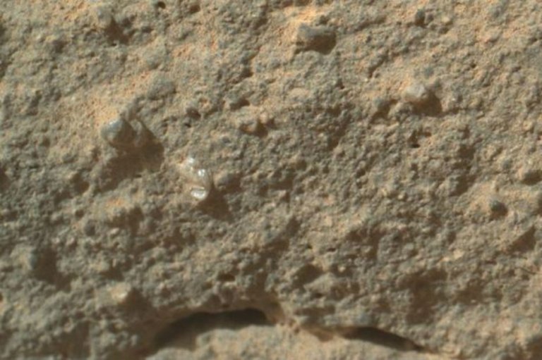 El Curiosity fotografió lo que parecería ser una flor en la superficie de Marte