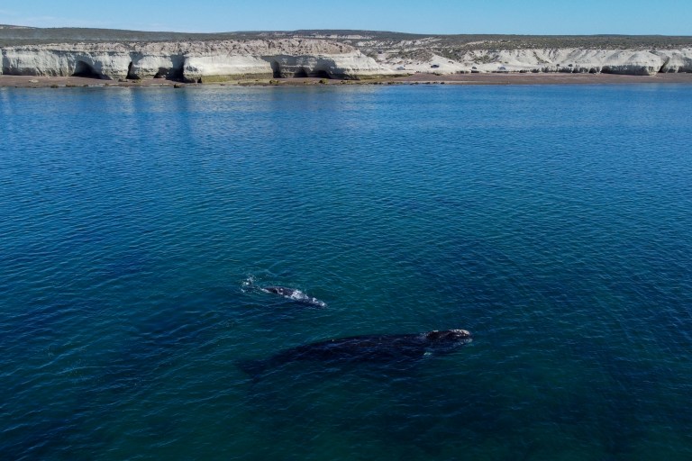 La temperatura de la superficie del océano alcanza nuevo récord