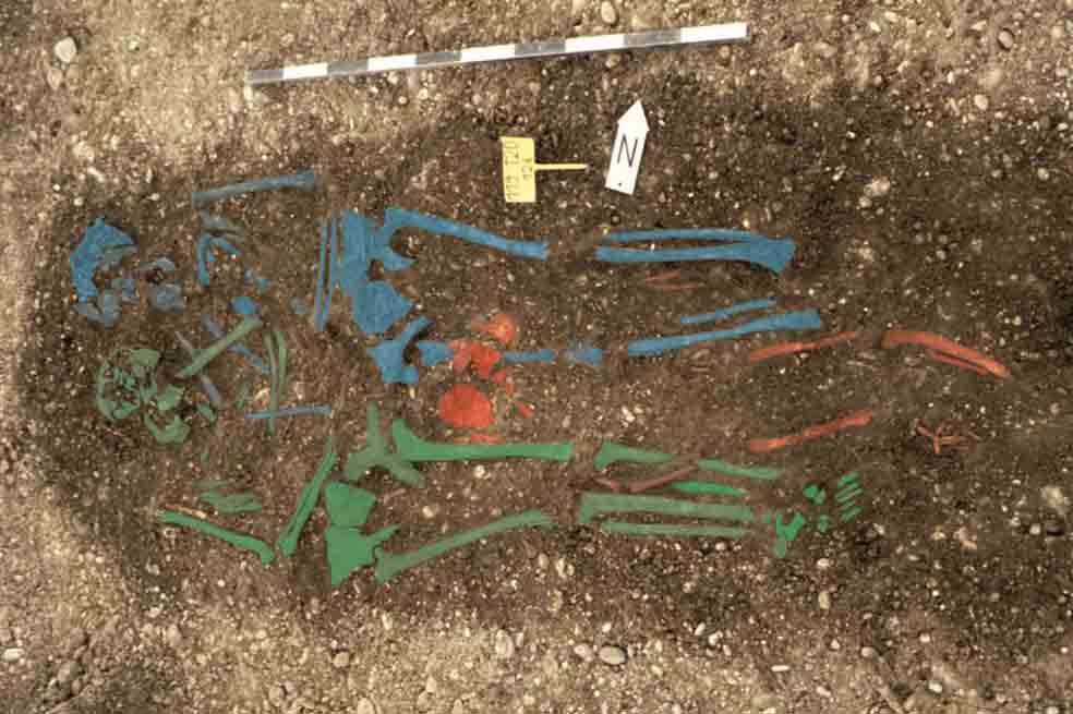 Dos esqueletos permitieron estudiar el origen de la primera pandemia de peste bubónica. / M. Harbeck