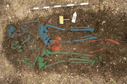 La peste que tumbó al Imperio romano