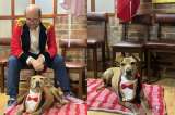 “La mascota de mi vida”: emotiva despedida de Daniel Samper Ospina a su perro Serafín