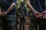 Amazonas: peligro por disputas entre disidencias de las Farc y Comandos de la Frontera
