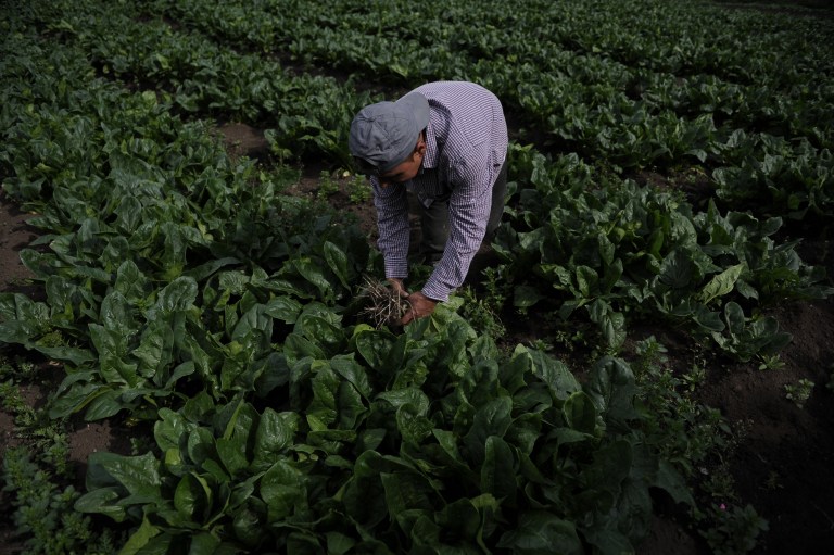 Sin industria nacional de fertilizantes: lo que hace falta y por qué es clave para el agro