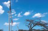 Presidente de COP28 insta a triplicar capacidad de energías renovables para 2030