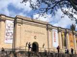 Con “Zoombastas” los Amigos del Museo Nacional apoyan el arte en medio de la pandemia