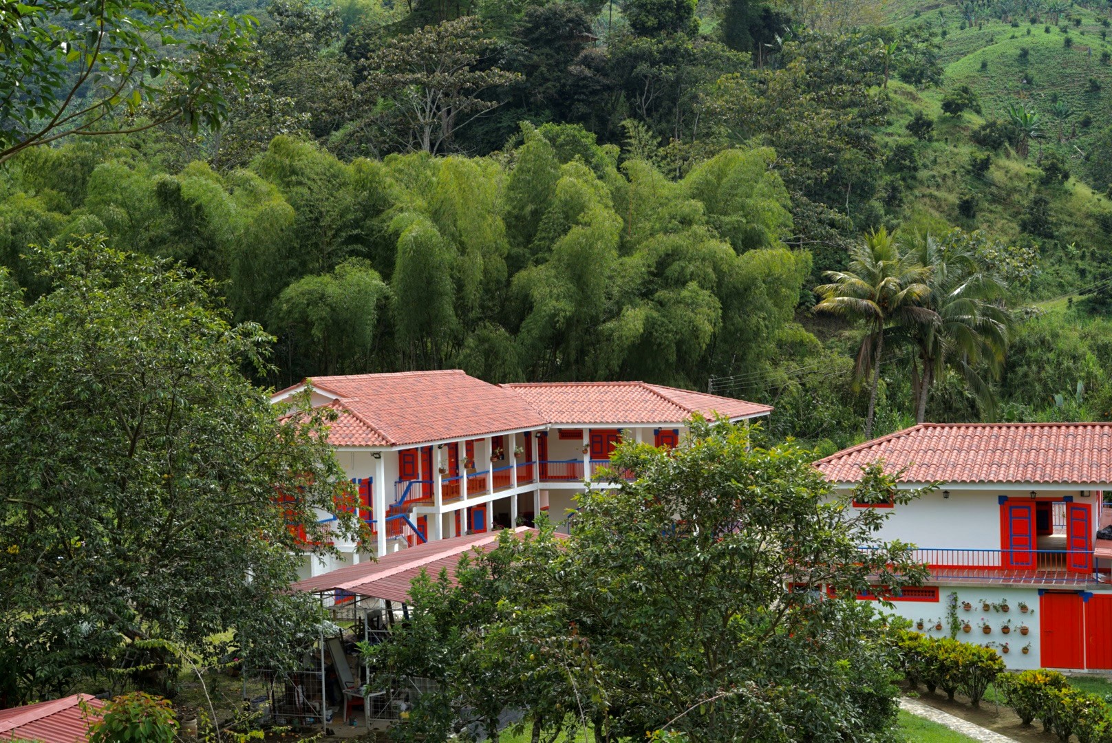 Su escenario natural es el flanco occidental de la cordillera Central colombiana, en inmediaciones del municipio de Córdoba, Quindío, no muy lejos de Calarcá. Allí, las experiencias ofrecidas por el proyecto Casa de Campo Rivera del Cacao —con su colorida posada, plantaciones y bosque nativo— superan de lejos las habituales visitas a las fincas cafeteras.