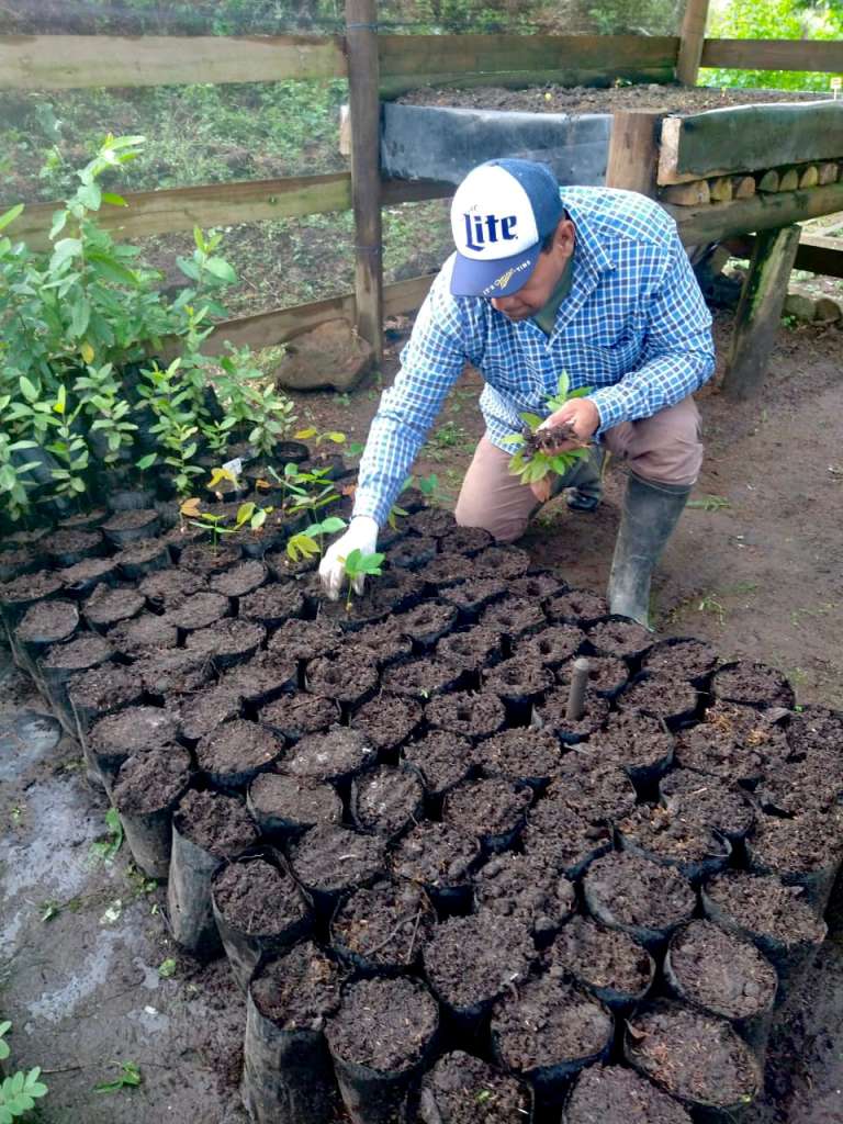 Bosque El Espectador