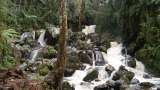 Vivir el turismo de naturaleza en las Reservas Naturales de la Sociedad Civil