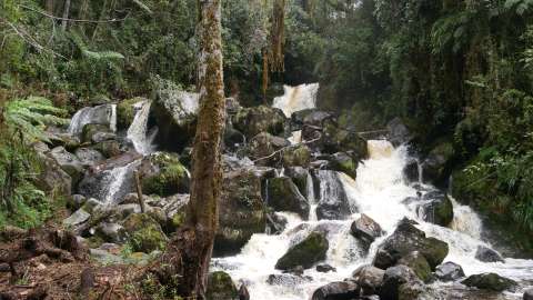 Vivir el turismo de naturaleza en las Reservas Naturales de la Sociedad Civil