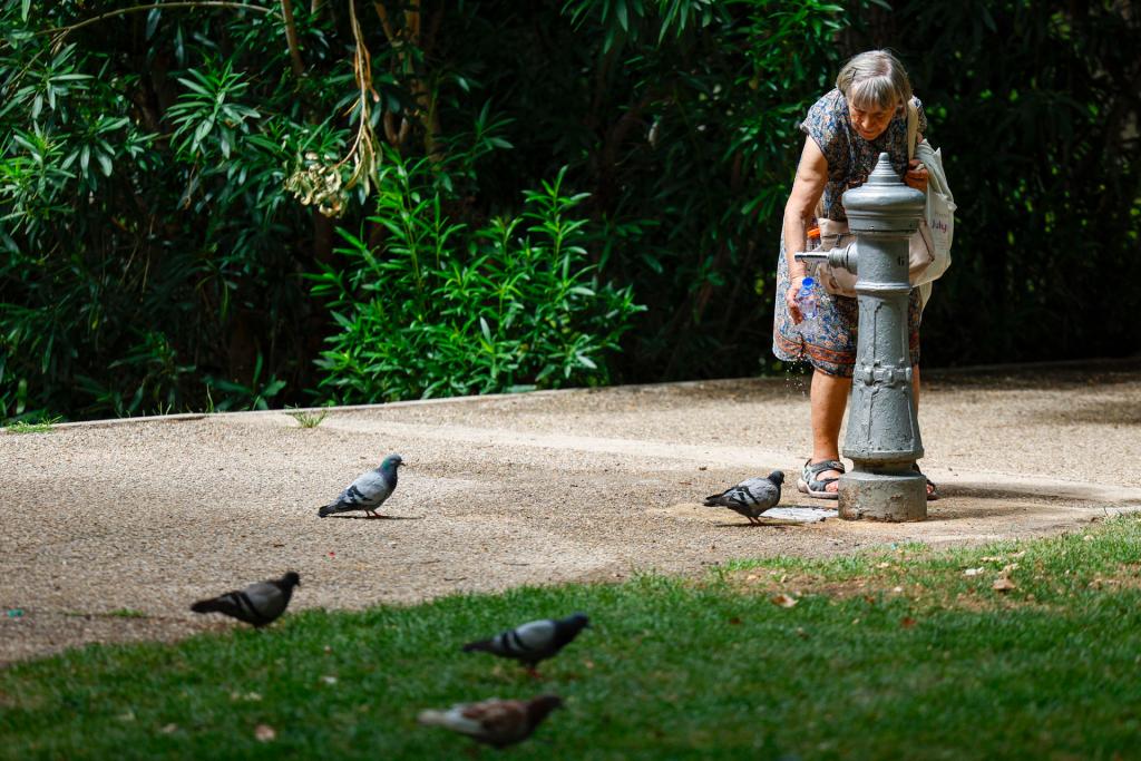 FOTODELDÍA GRAF399. MADRID, 22/07/2026.-Una mujer llena una botella de agua en una fuente pública en un parque en Madrid este miércoles. La actual ola de calor que azota a España se intensificará este miércoles con temperaturas de más de 42 grados en algunos puntos, acompañadas de polvo en suspensión y tormentas, con miras a una "breve tregua" prevista para el viernes y el sábado, cuando se dará un acusado descenso térmico. EFE/ Mariscal