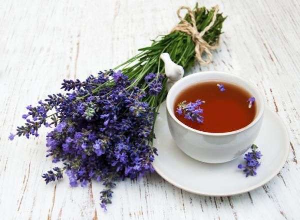 La valeriana es una de las plantas medicinales más usadas. Aquí te enseñamos para qué sirve y algunos usos que puedes darle.