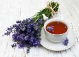 ¿Para qué sirve la Valeriana? Propiedades y consejos para el cuidado de la planta