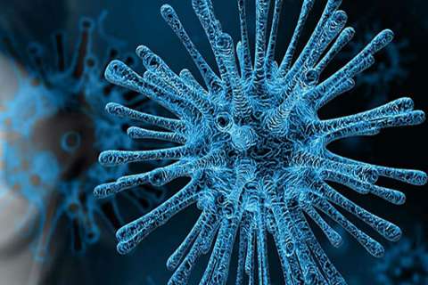 Perú anuncia su primer caso de coronavirus