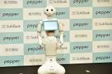 Prohíben practicar sexo con robot humanoide
